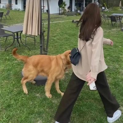 假如明天来临