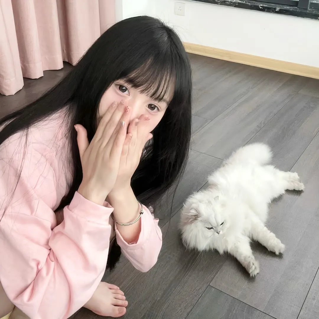 叔比狗露营惊魂记
